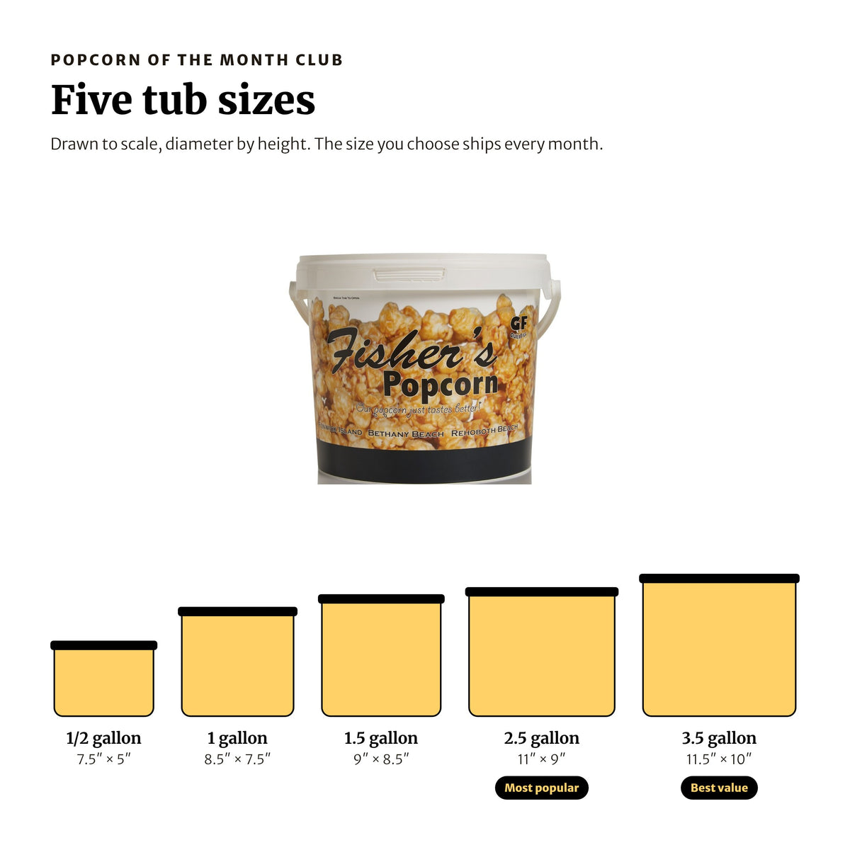 Fisher's Popcorn tub sizes drawn to scale: 1/2 gallon, 1 gallon, 1.5 gallon, 2.5 gallon and 3.5 gallon