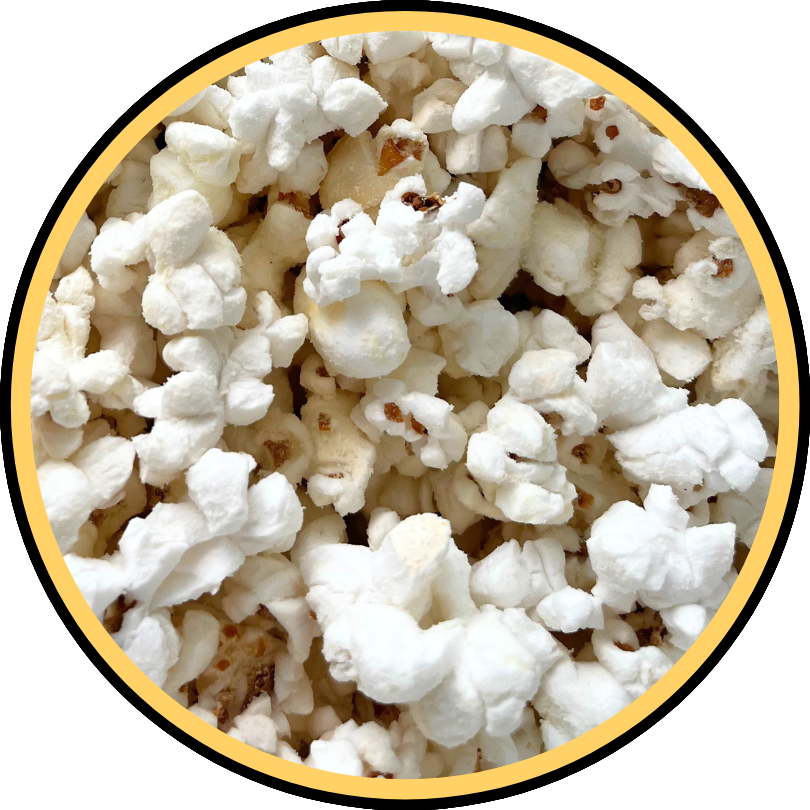 Close-up of freshly popped white popcorn in a yellow and black circular border, perfect for Fisher's Popcorn White Cheddar bundle.